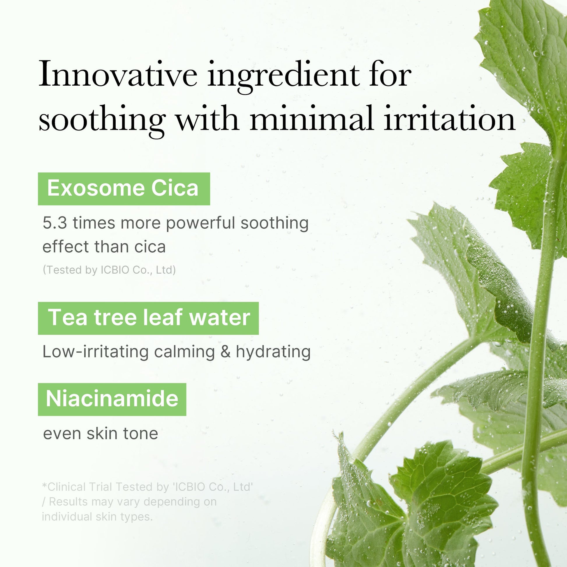 exosome-cica-calming-toner-pads-j1 03_d73c7e58-fe02-42b9-8dfe-6db8bcfc4a9d.jpg