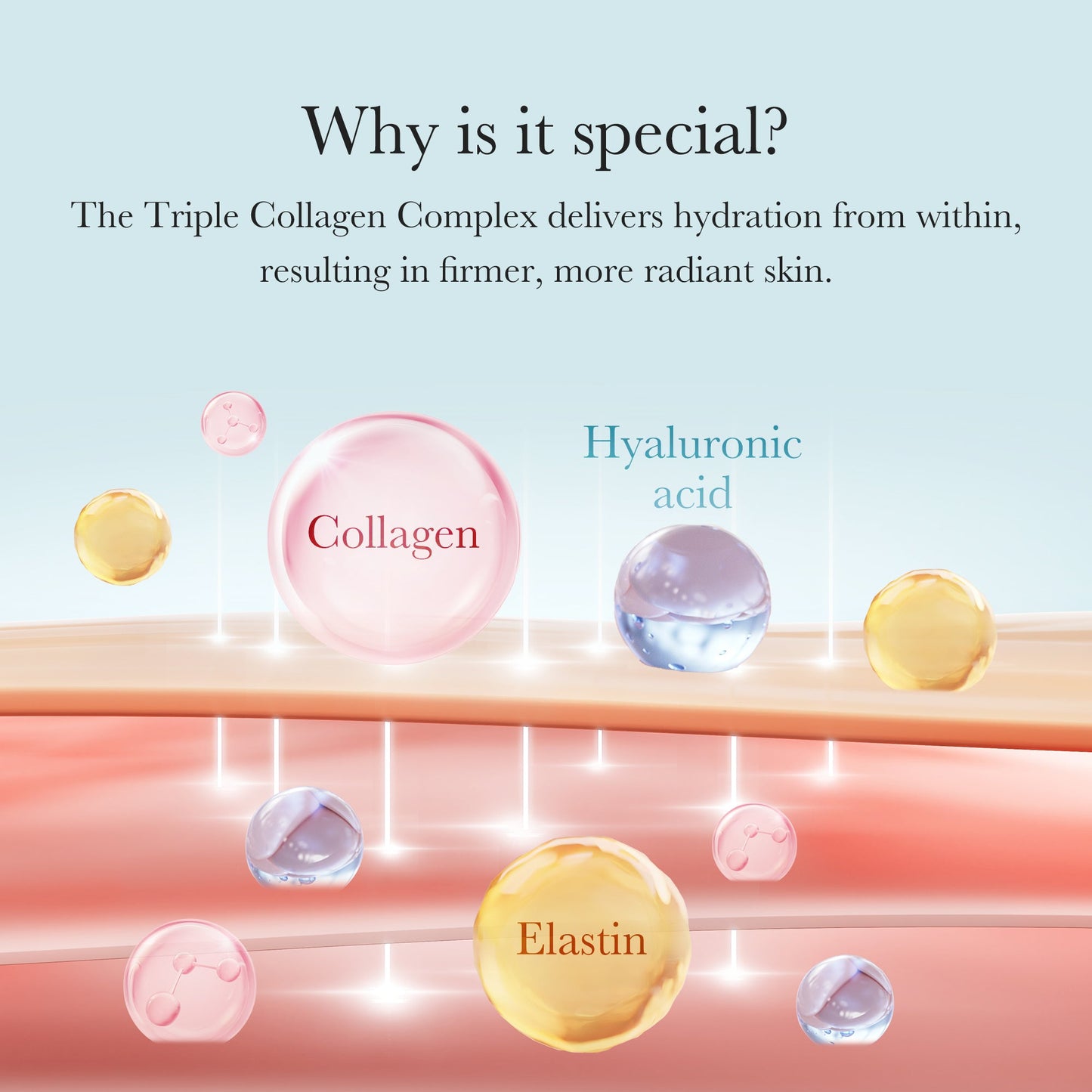 triple-collagen-cream-a0 04_8e4e330d-7d9c-4ff0-93ec-ea541093220c.jpg